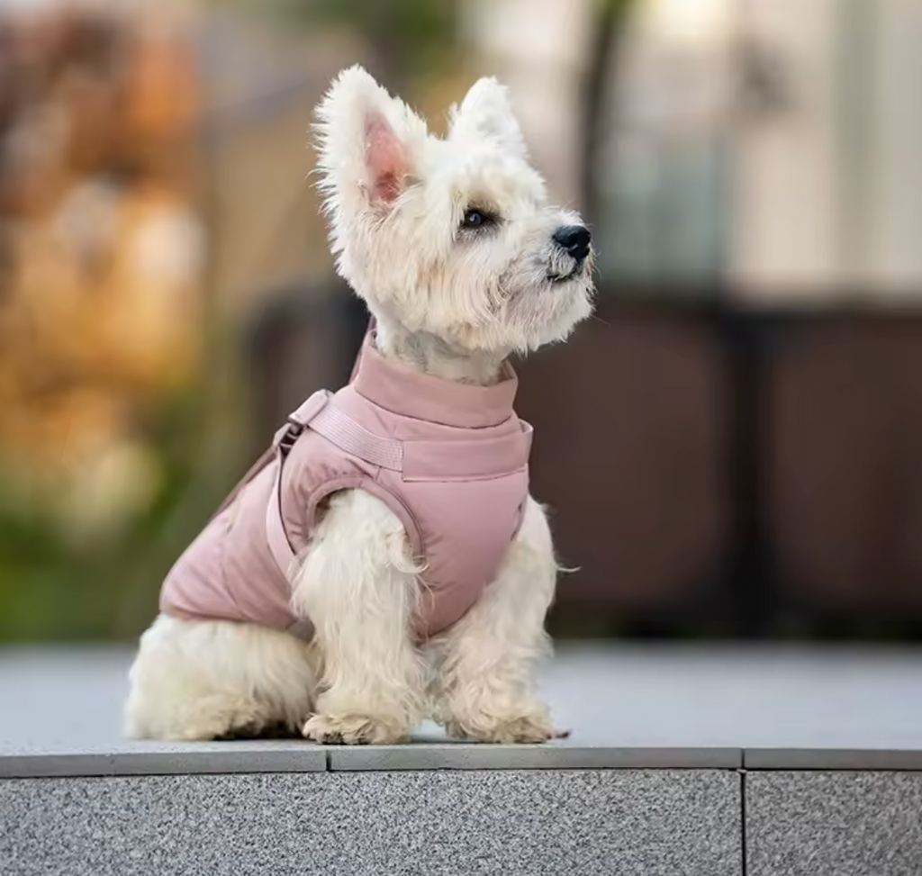 Comfort Deluxe Hundemantel