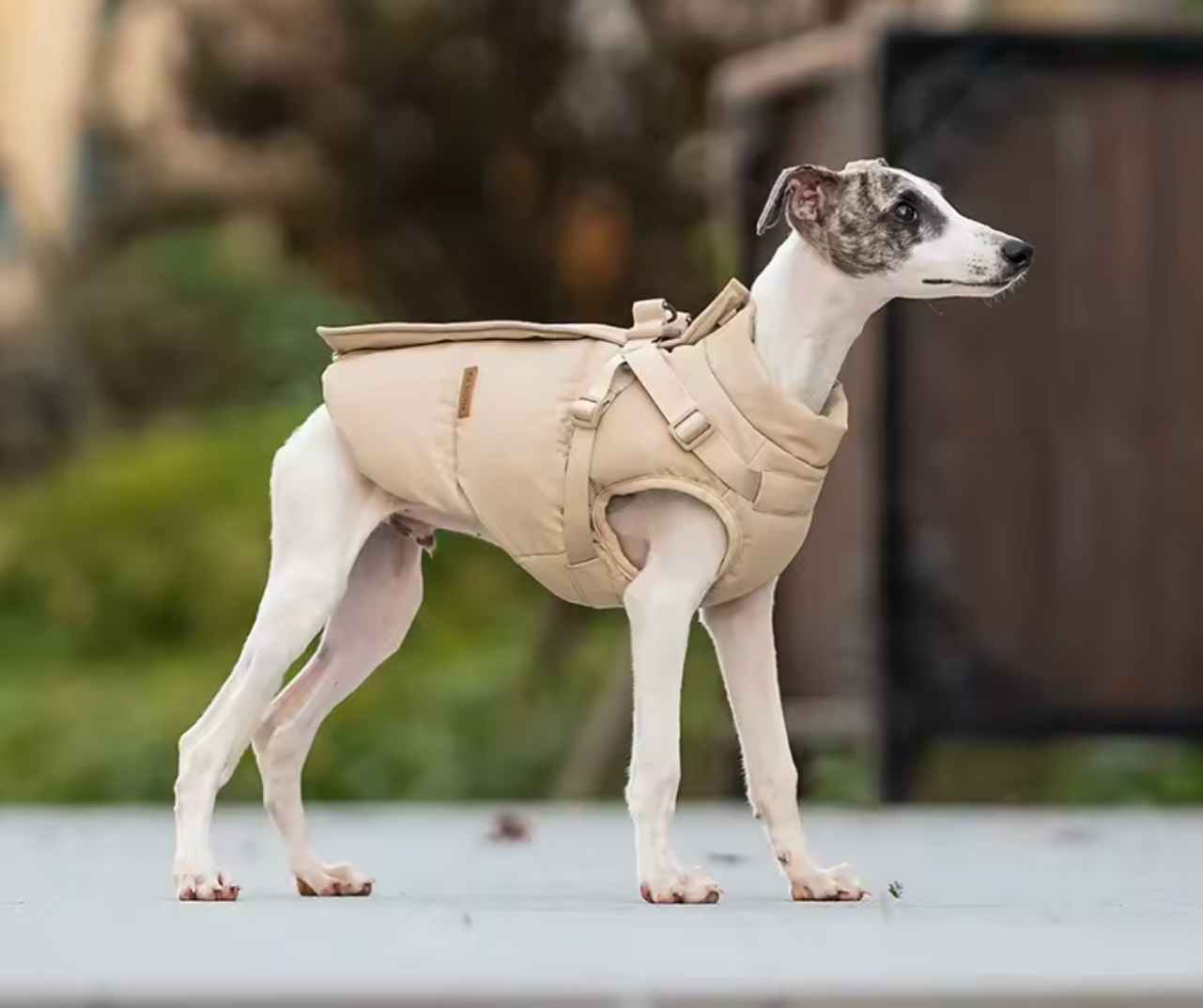 Comfort Deluxe Hundemantel